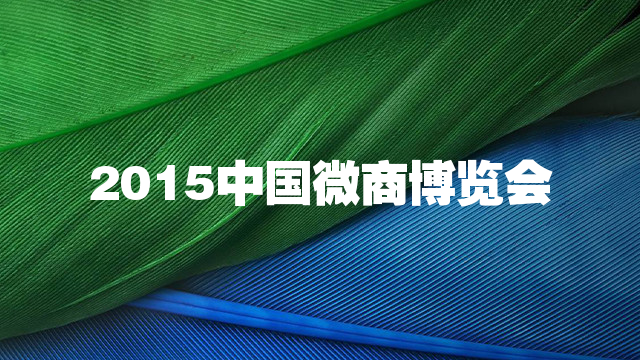 2015中国微商博览会