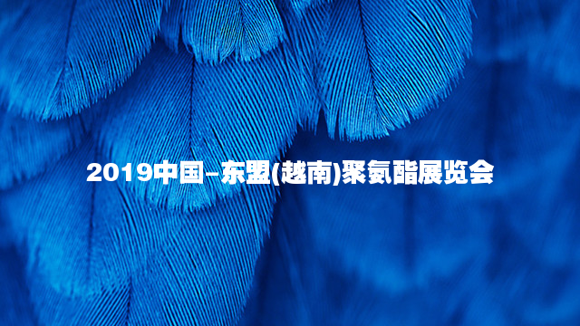 2019中国-东盟(越南)聚氨酯展览会