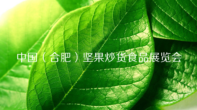 2020中国（合肥）坚果炒货食品展暨中外坚果炒货食品大型采供洽谈会