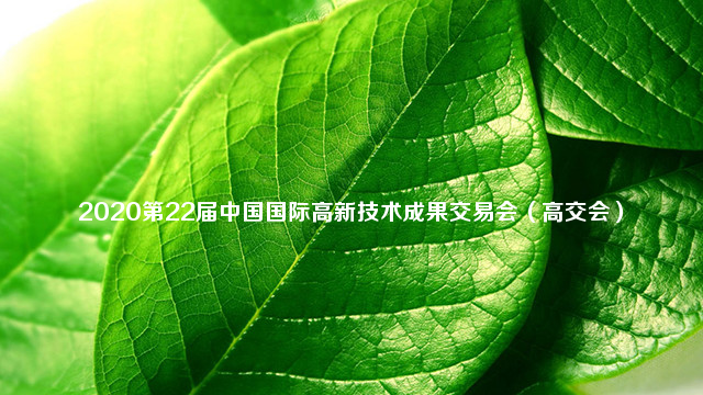2020第22届中国国际高新技术成果交易会（高交会）
